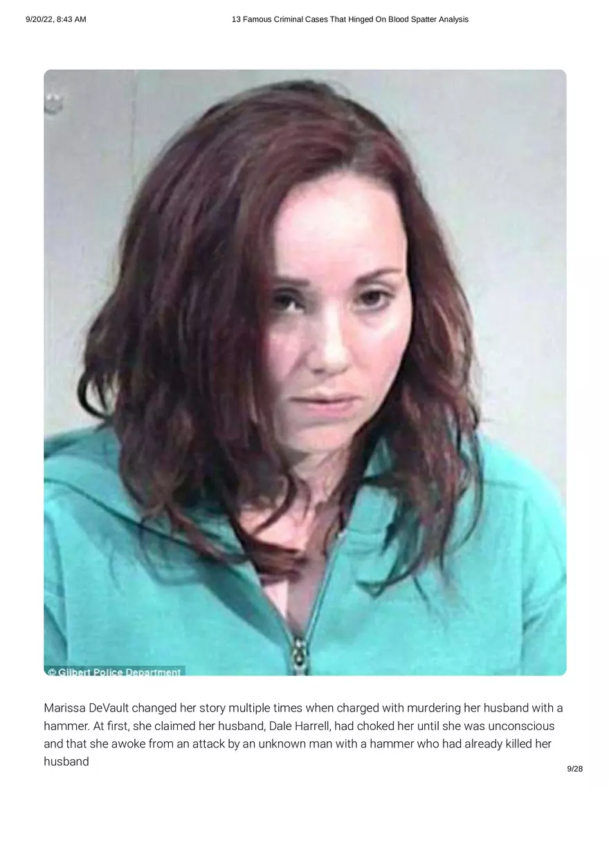13 Famous Criminal Cases That Hinged On Blood Spatter Analysis - Page 21
