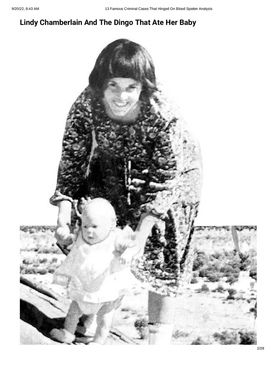 13 Famous Criminal Cases That Hinged On Blood Spatter Analysis - Page 2