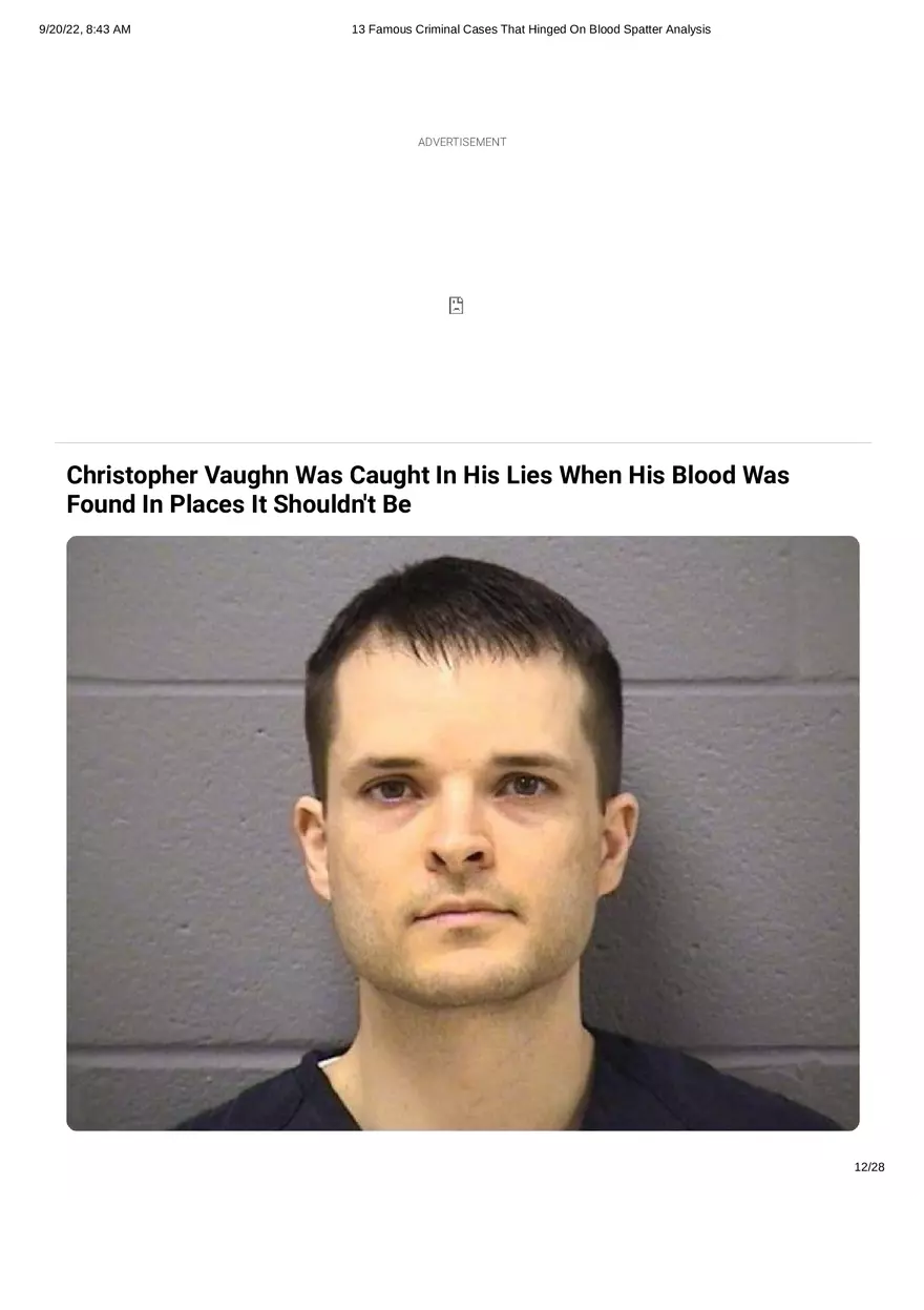 13 Famous Criminal Cases That Hinged On Blood Spatter Analysis - Page 4