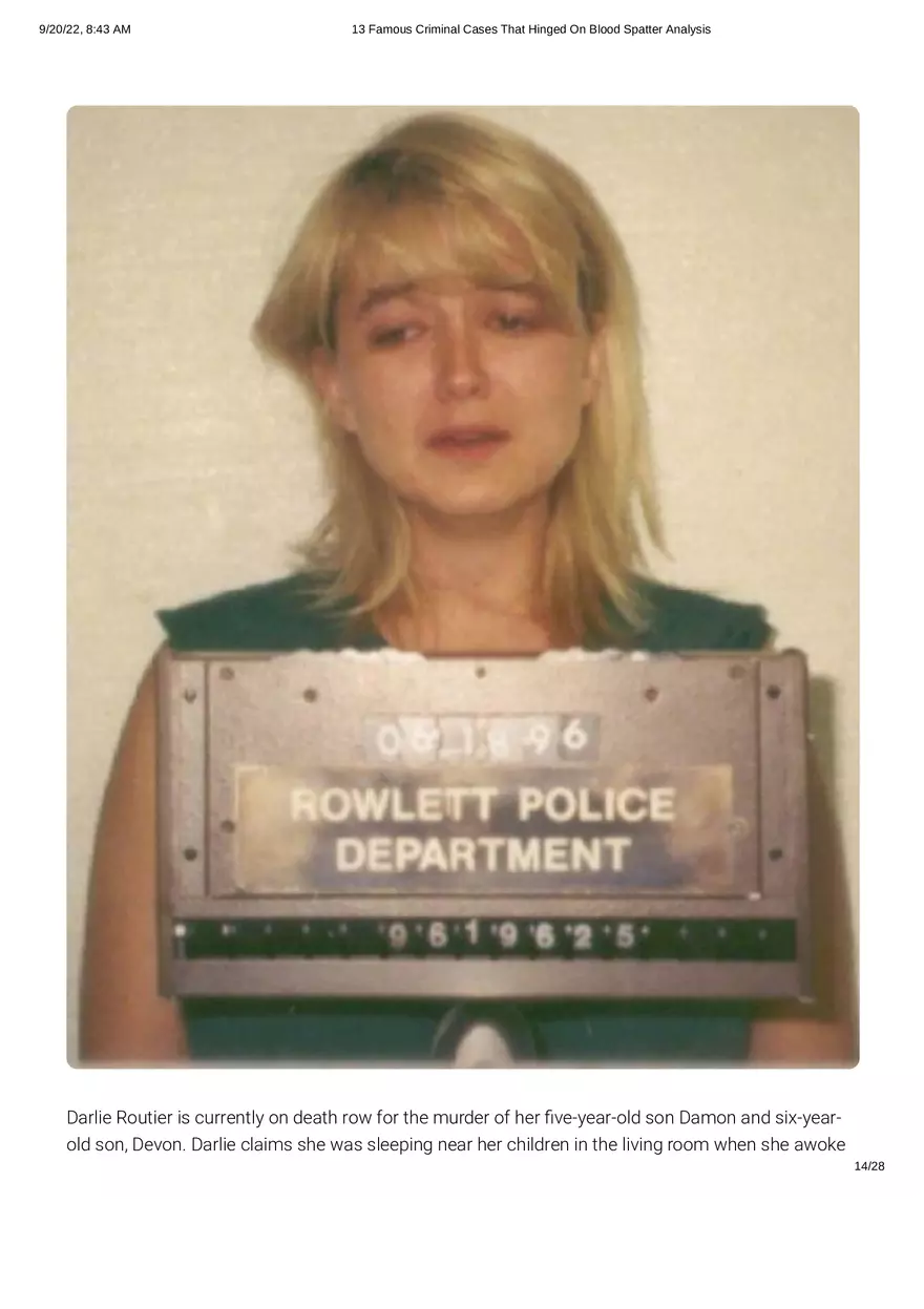 13 Famous Criminal Cases That Hinged On Blood Spatter Analysis - Page 6
