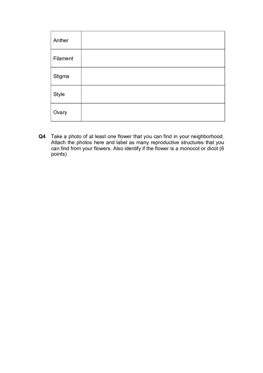 Lab 4 Plant Structure and Function - Page 7