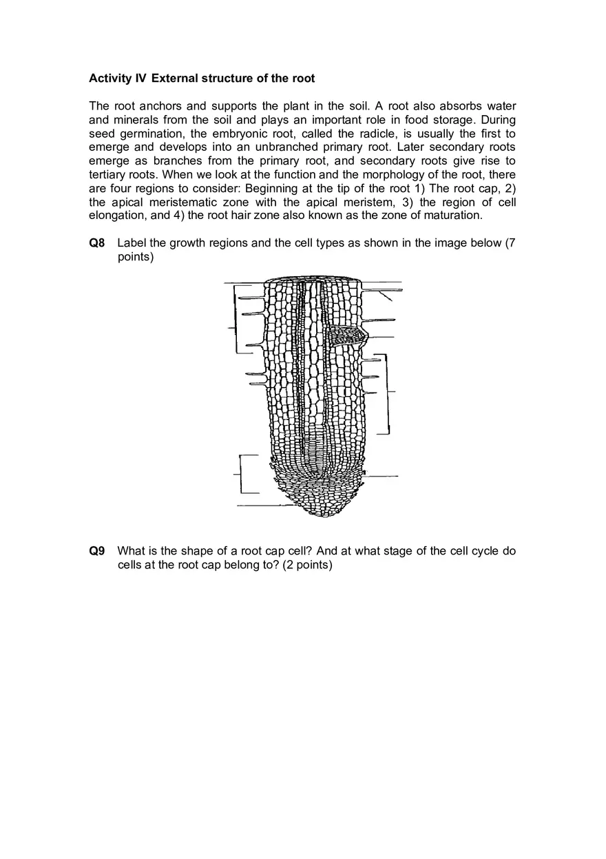 Lab 4 Plant Structure and Function - Page 9