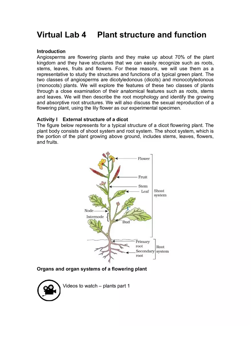 Lab 4 Plant Structure and Function - Page 1