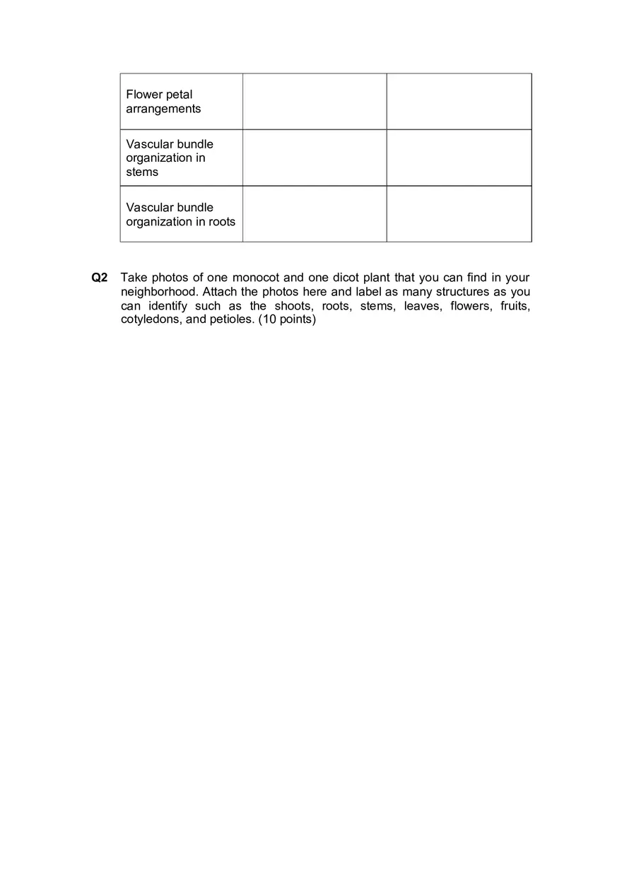 Lab 4 Plant Structure and Function - Page 5
