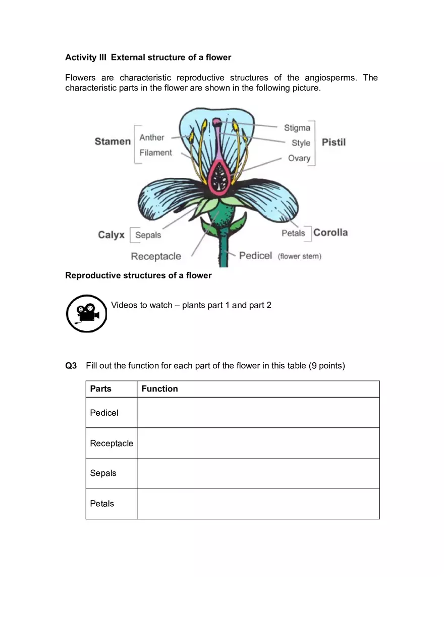 Lab 4 Plant Structure and Function - Page 6