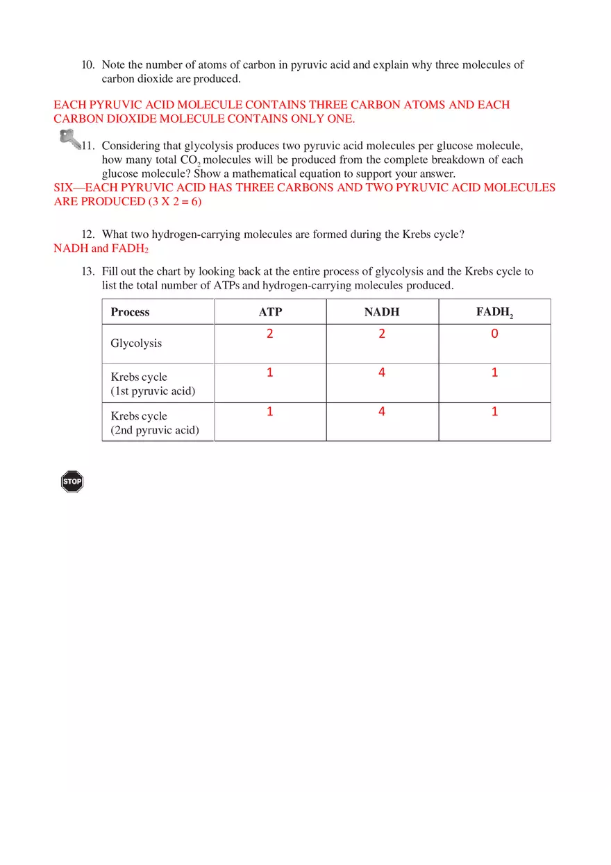 Cellular Respiration Answers - Page 3