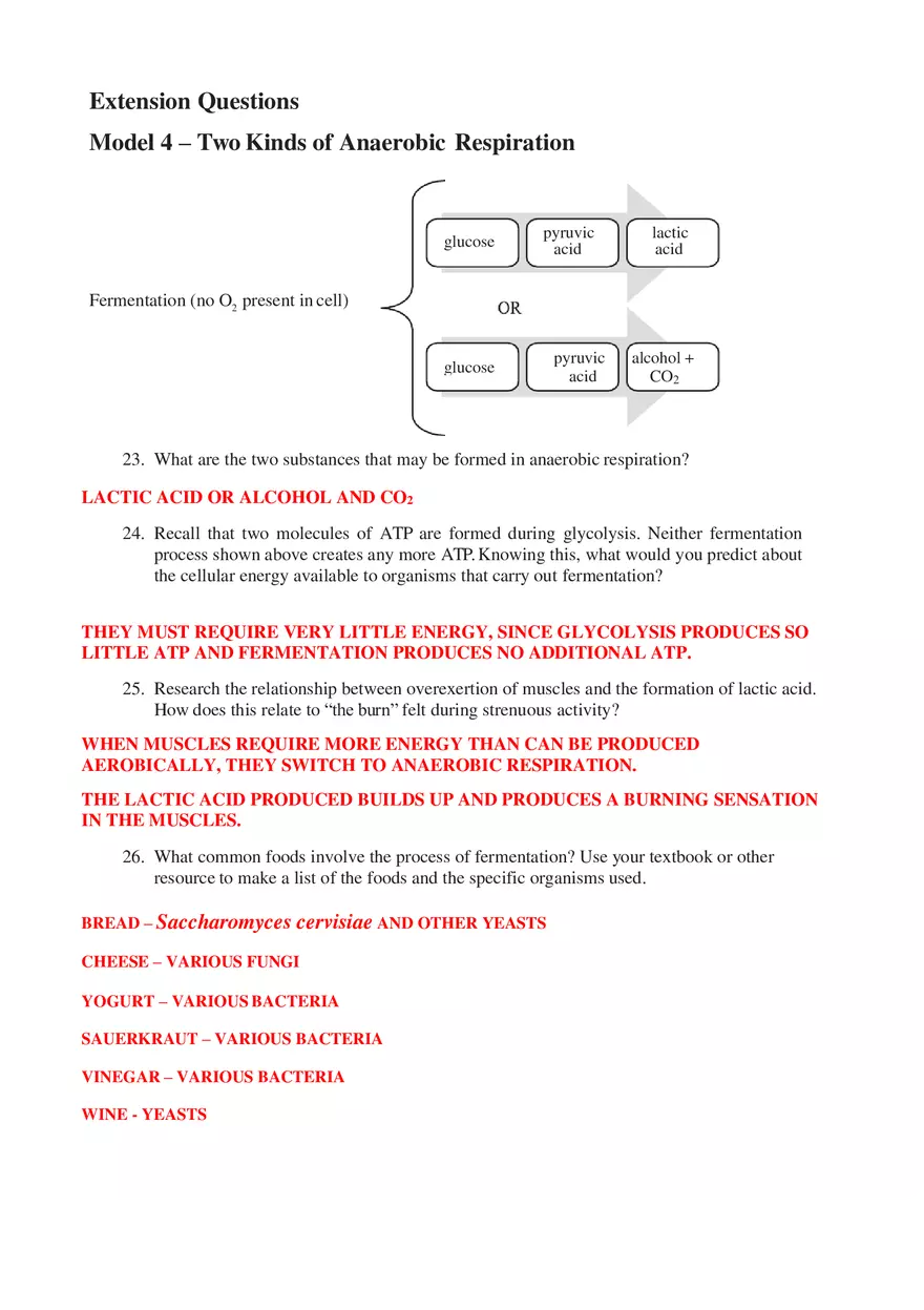 Cellular Respiration Answers - Page 6