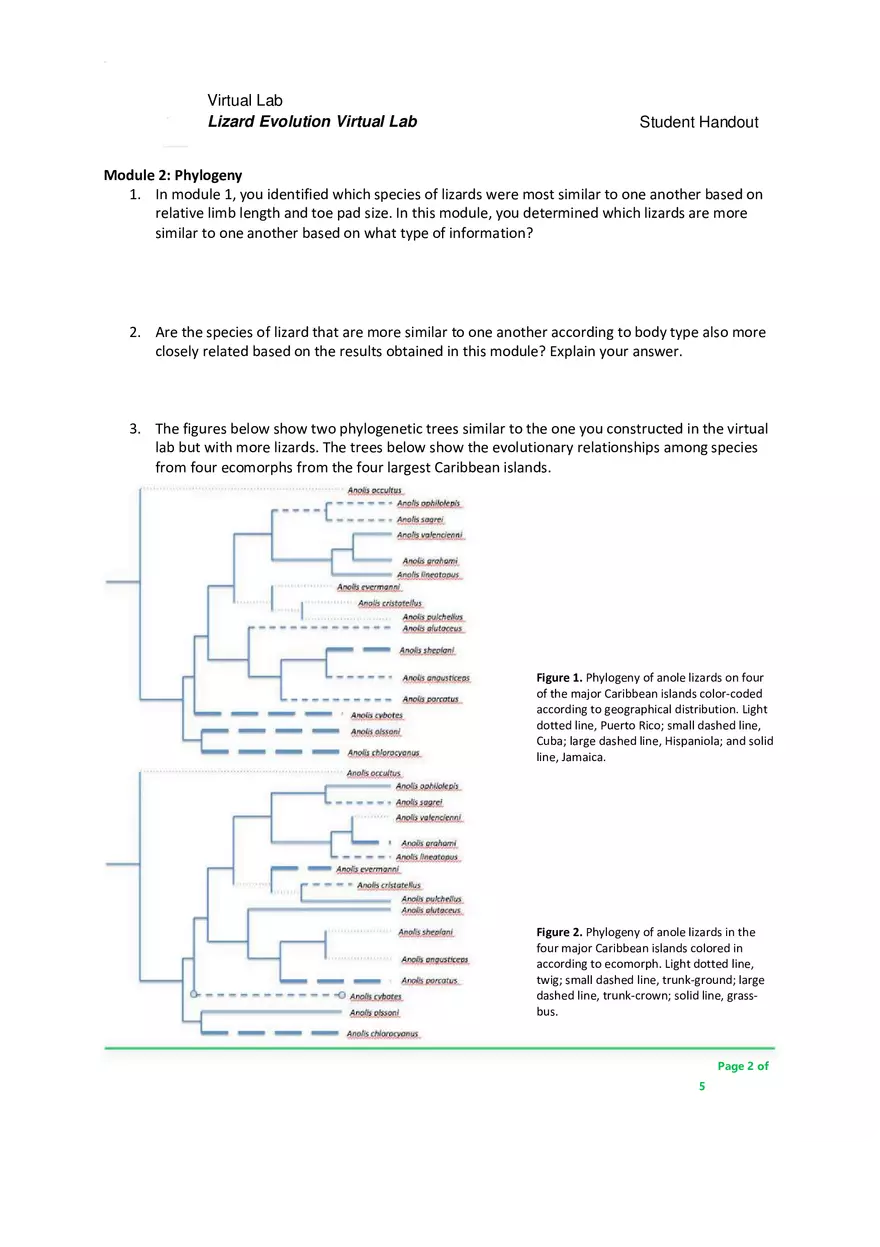 Lizard Evolution Virtual Lab - Page 2