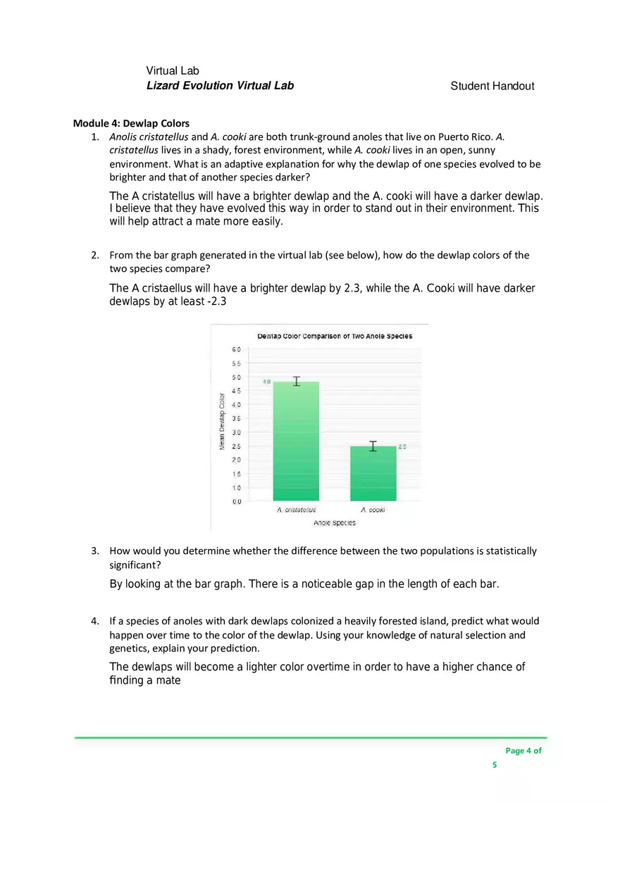 Lizard Evolution Virtual Lab - Page 4