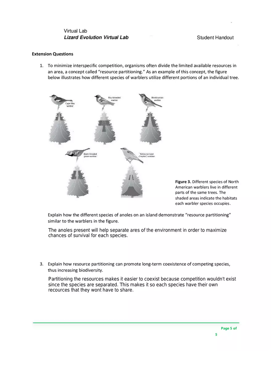 Lizard Evolution Virtual Lab - Page 5