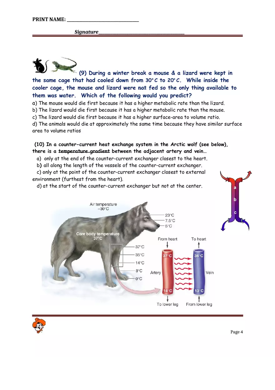 Bio Home Assignment 1 - Page 4