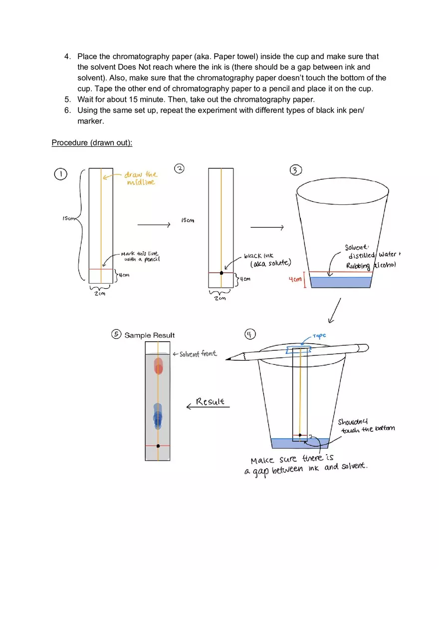 Paper Chromatography Lab - Page 2