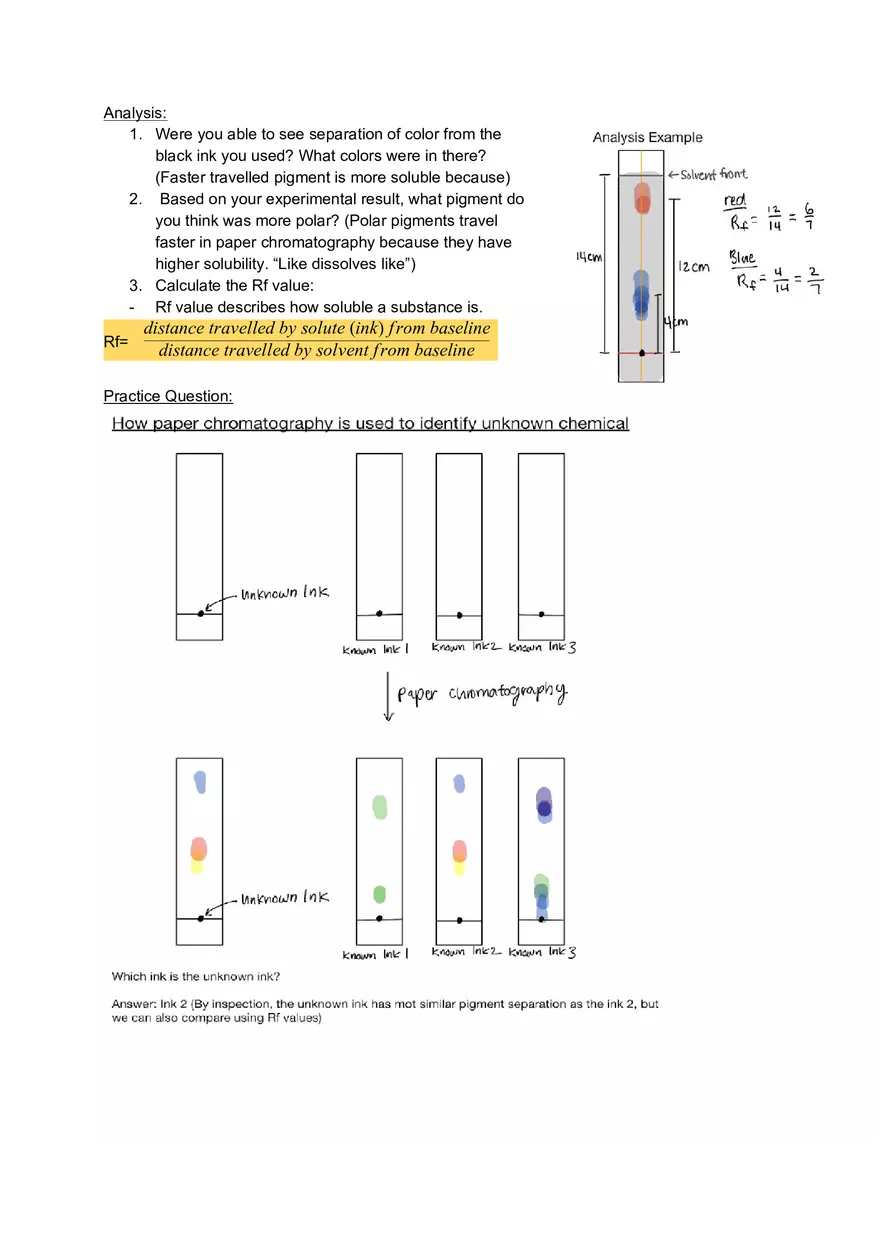 Paper Chromatography Lab - Page 3