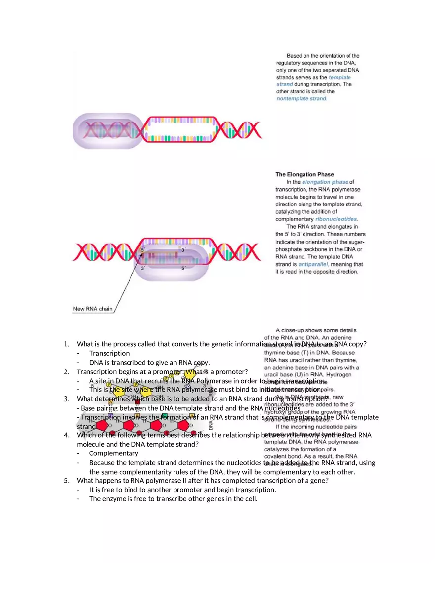 Mastering Biology Chapter 17 Assignment 7 - Page 9