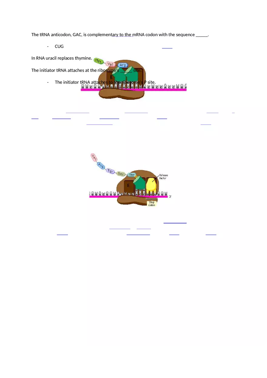 Mastering Biology Chapter 17 Assignment 7 - Page 12
