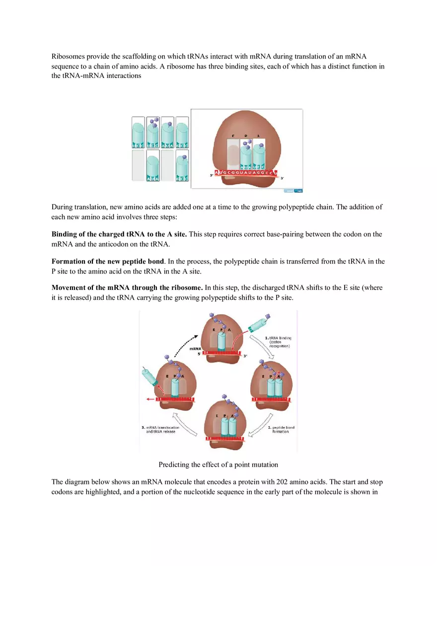 Mastering Biology Chapter 17 Assignment 7 - Page 14