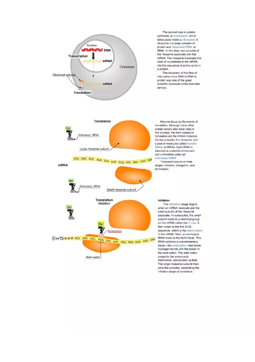 Mastering Biology Chapter 17 Assignment 7 - Page 18