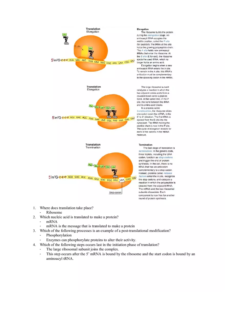 Mastering Biology Chapter 17 Assignment 7 - Page 19