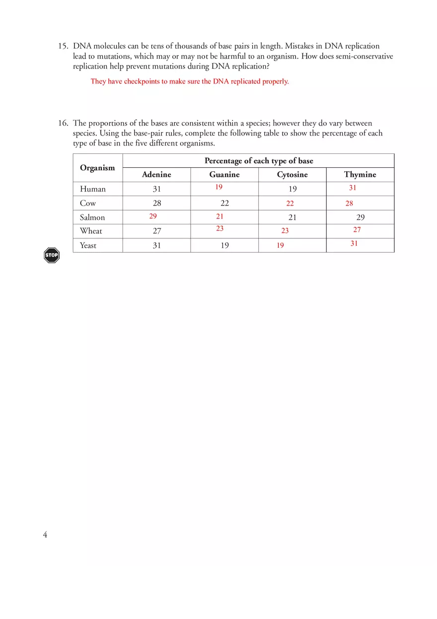 Model 2 DNA Replication - Page 2