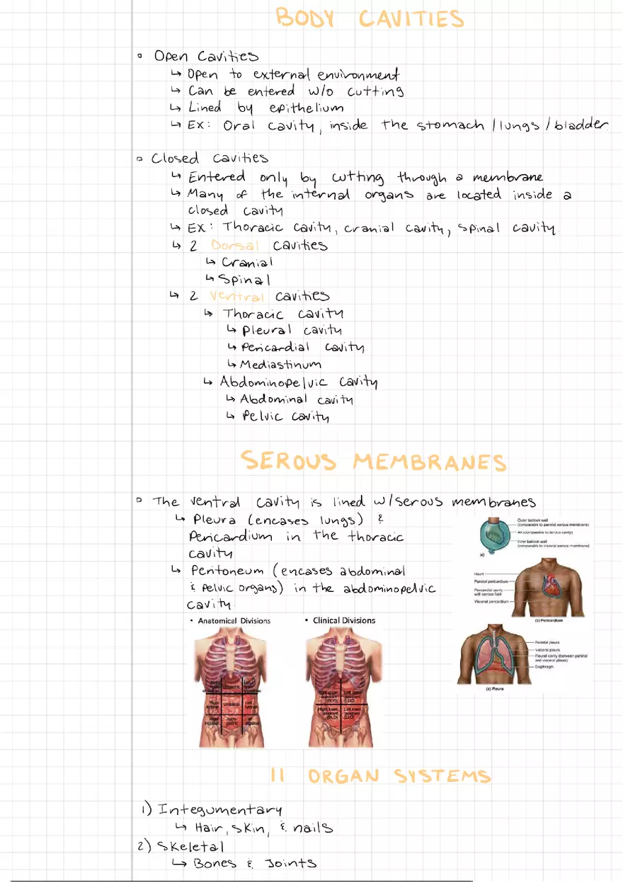 Exercise 1 - Body Organization and Terminology - Page 2
