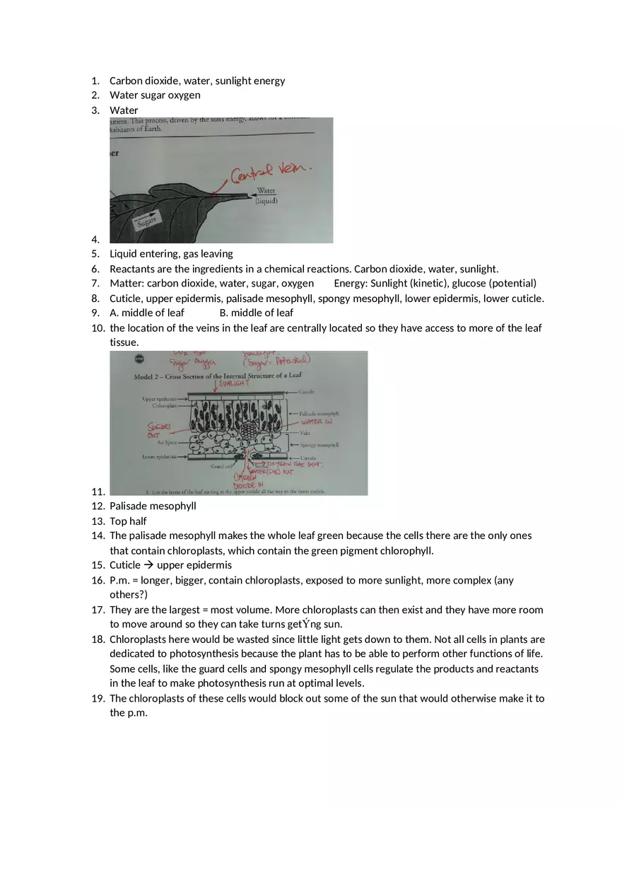 Photosynthesis What is in a Leaf Answers - Page 1