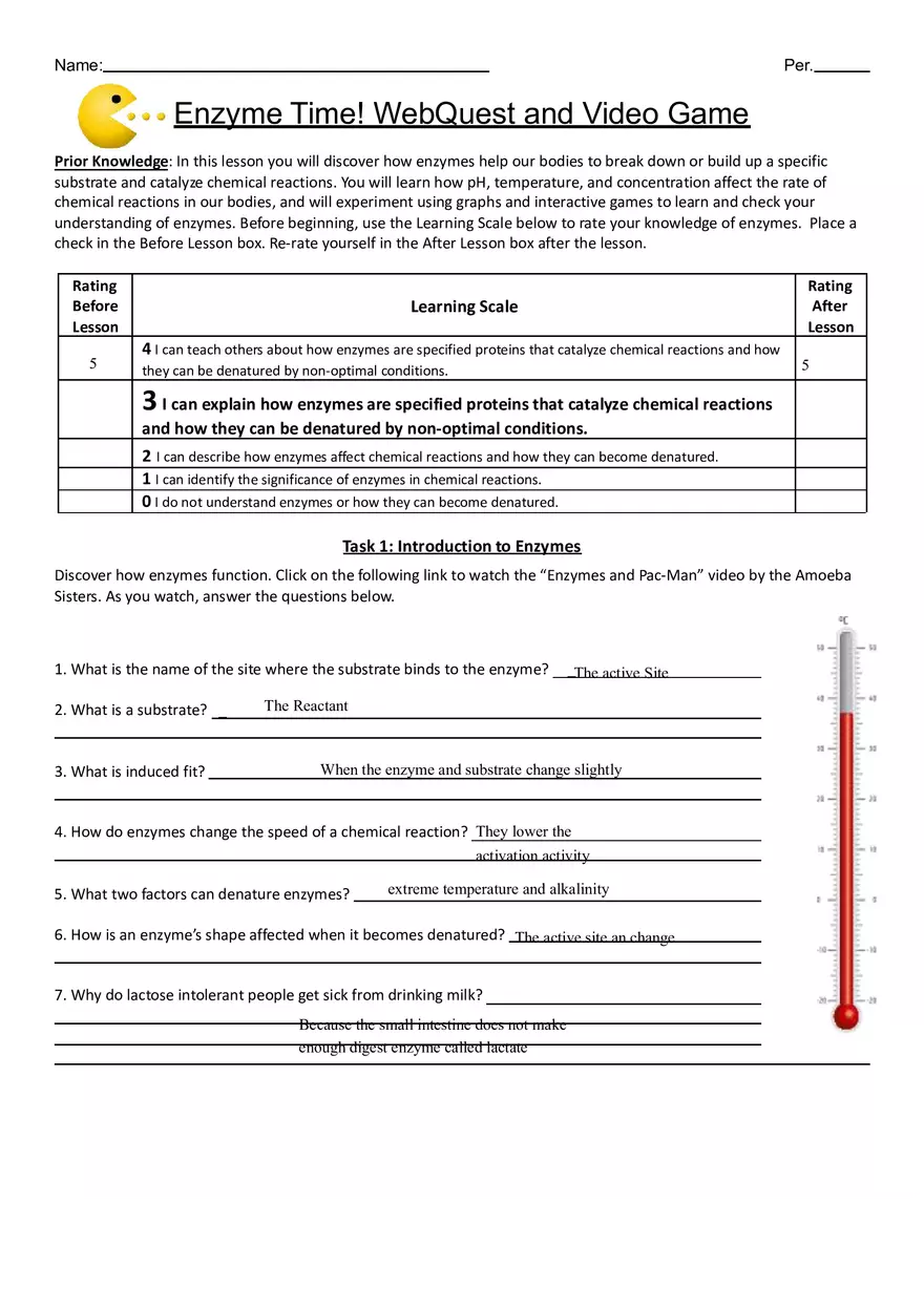 Enzymes Webquest Answer Key - Page 1
