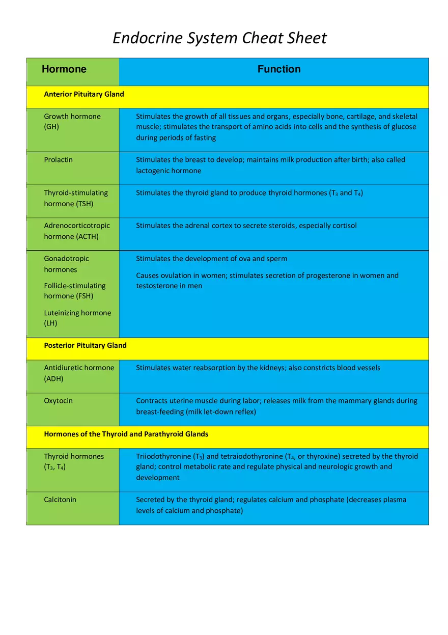 Endocrine System Cheat Sheet - Page 1