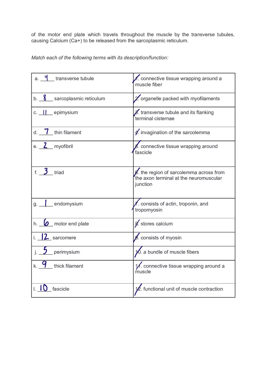 Intermediate Physiology Lab 5 Pre-lab Worksheet - Page 2