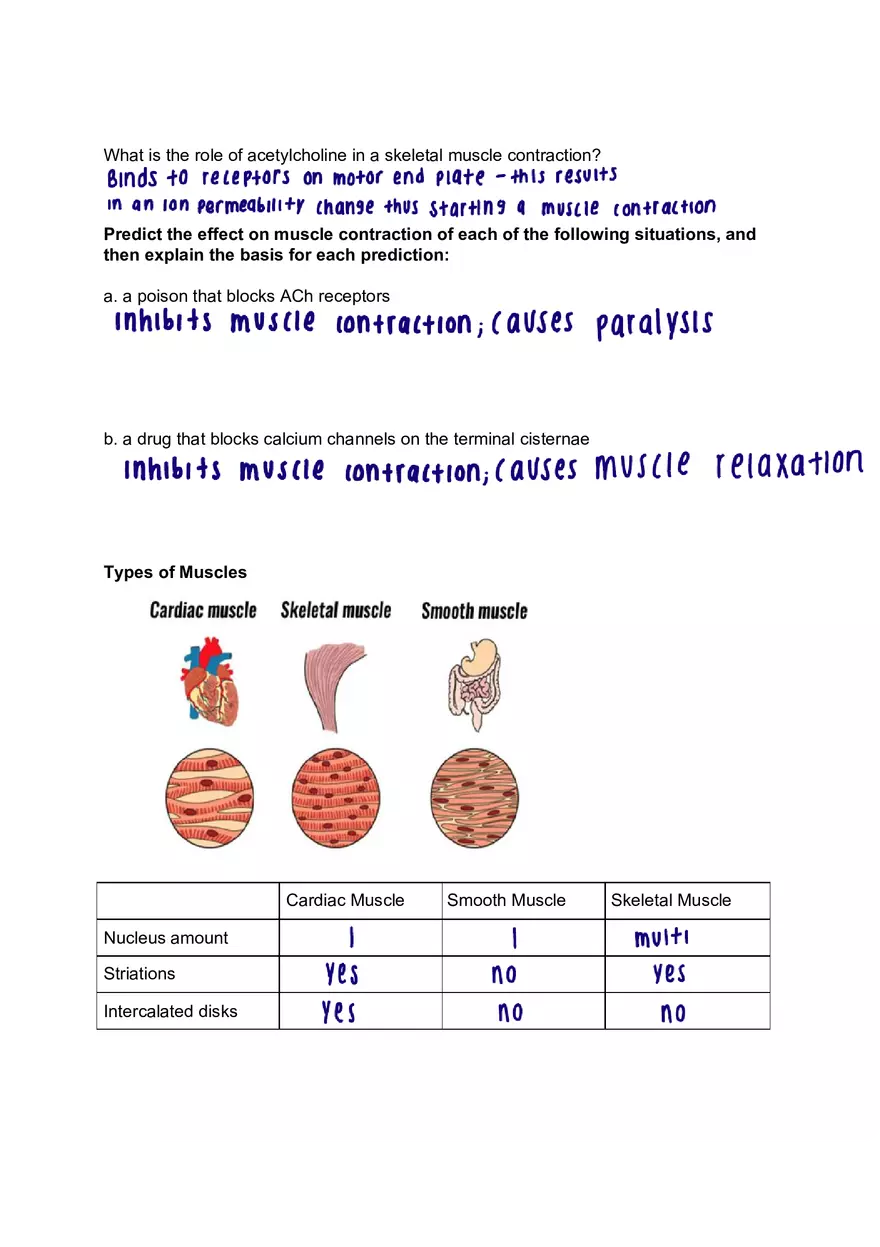Intermediate Physiology Lab 5 Pre-lab Worksheet - Page 4