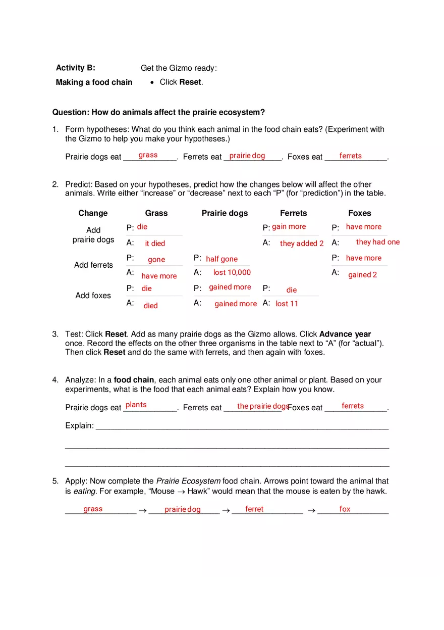 Student Exploration Prairie Ecosystem - Page 3