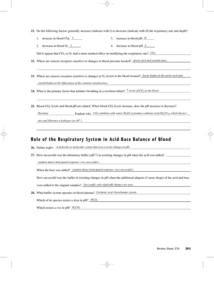 Mechanics of Respiration - Page 5