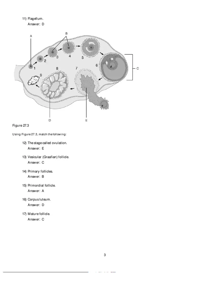 Mammalian Physiology Exam Ch.27 - Page 10