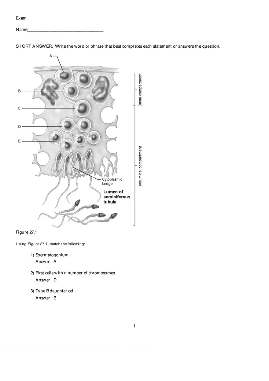 Mammalian Physiology Exam Ch.27 - Page 1