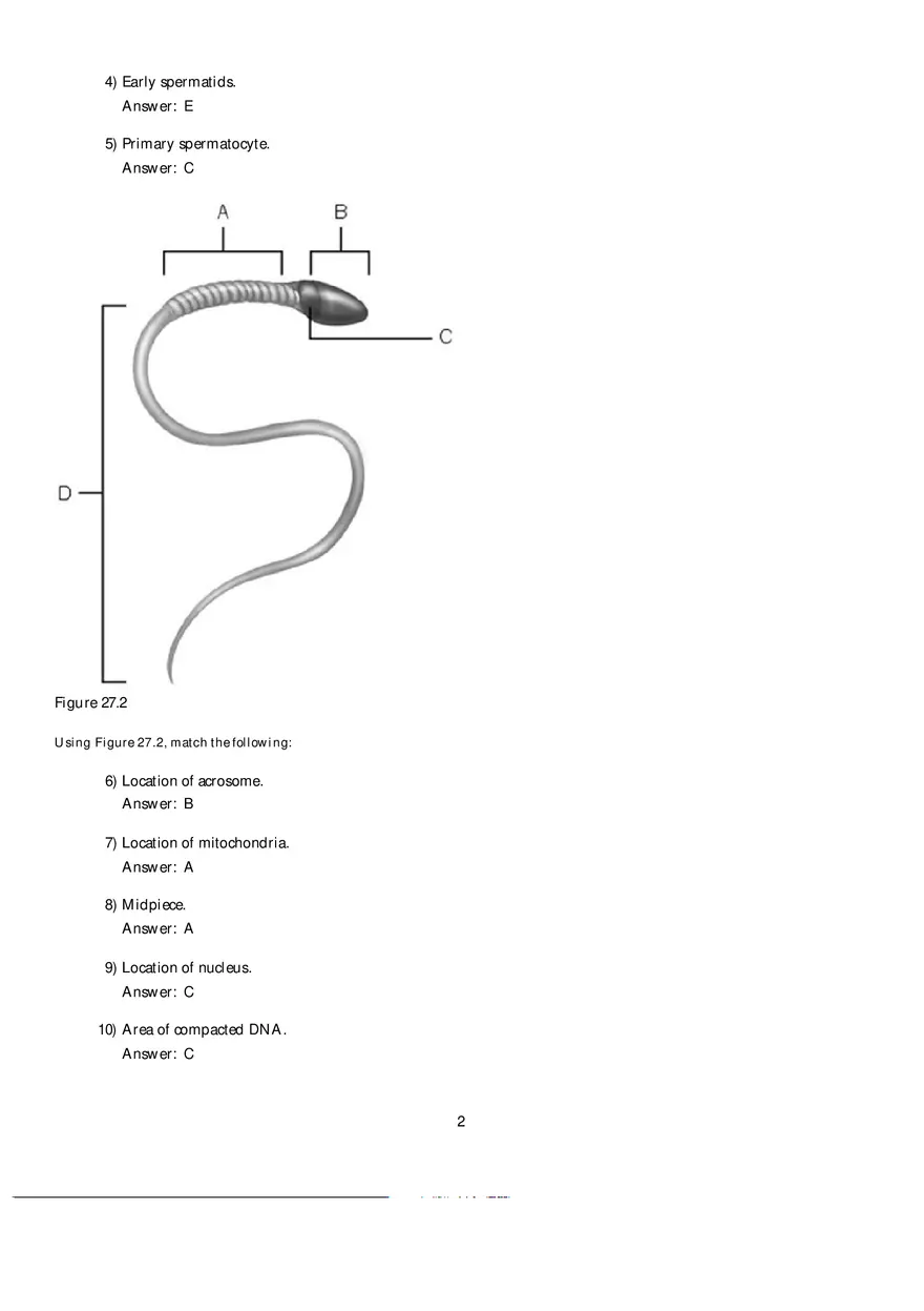 Mammalian Physiology Exam Ch.27 - Page 2