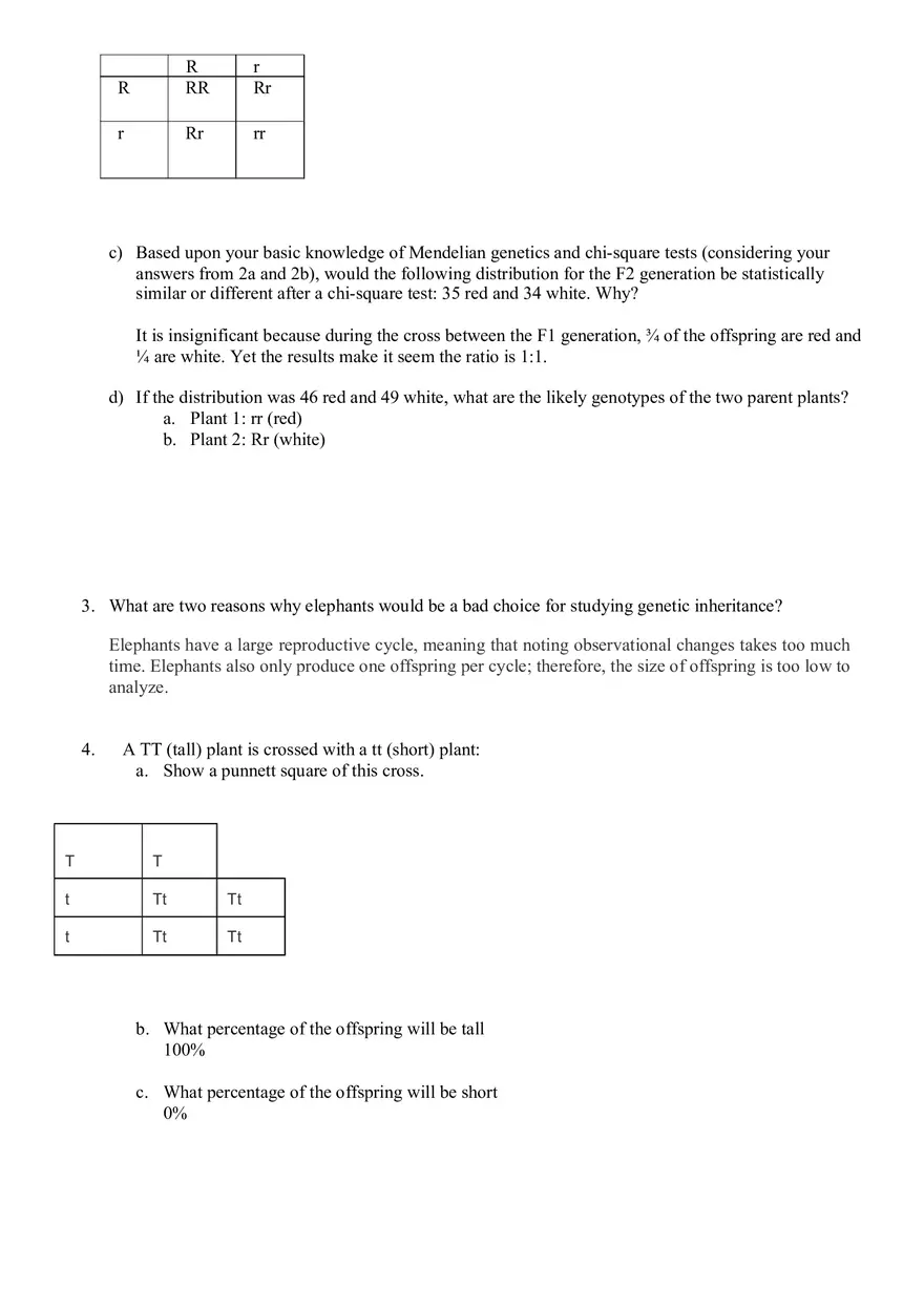 Genetic Problems Worksheet - Page 2