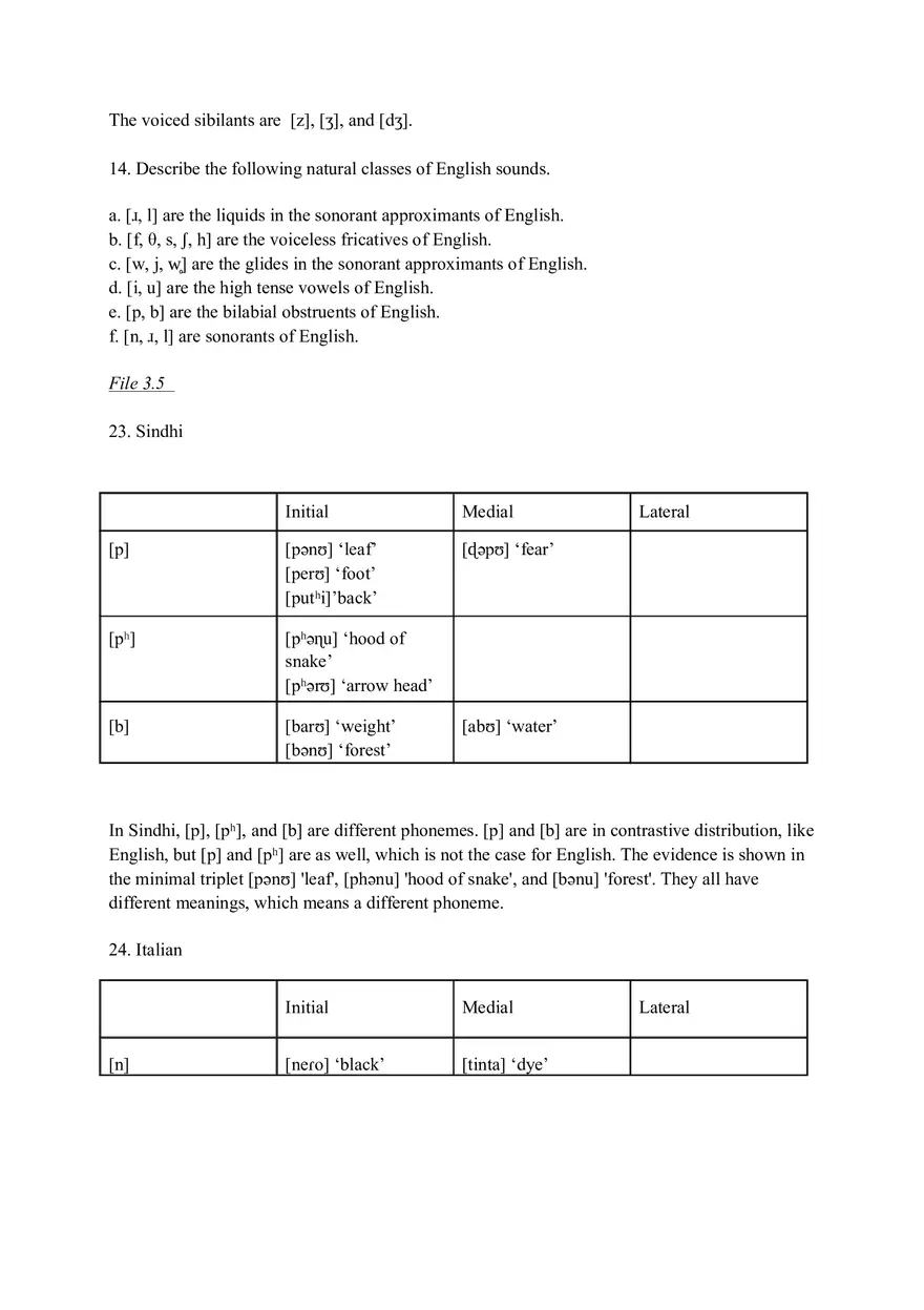Phonology Assignment 2 - Page 2