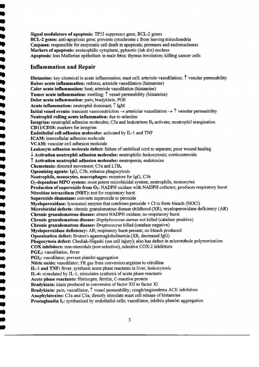Pathology Synopsis - Page 13