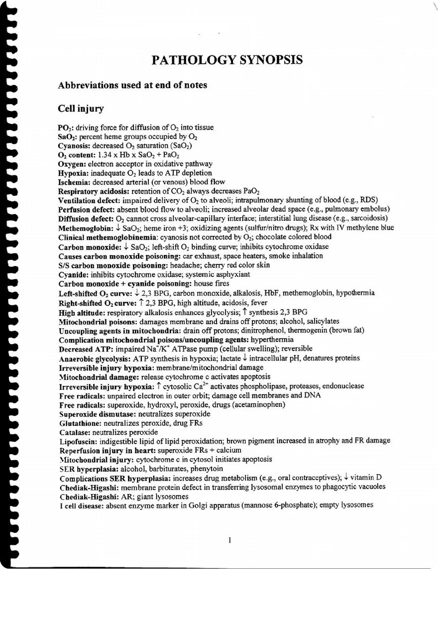 Pathology Synopsis - Page 1