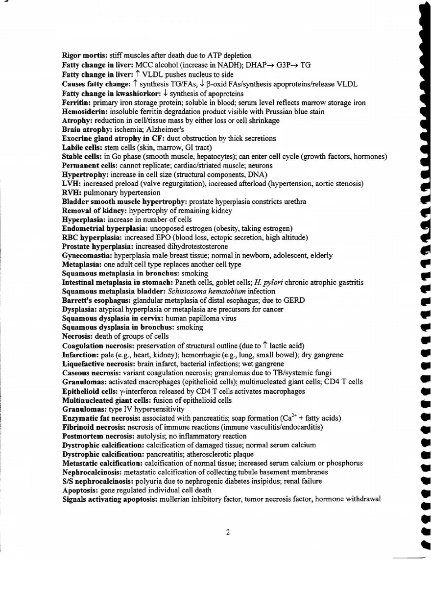 Pathology Synopsis - Page 2