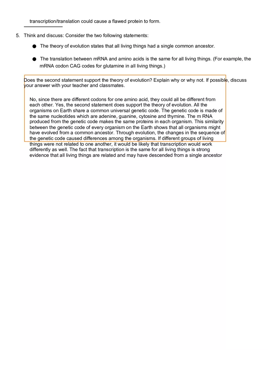 Exploration RNA and Protein Synthesis - Page 8