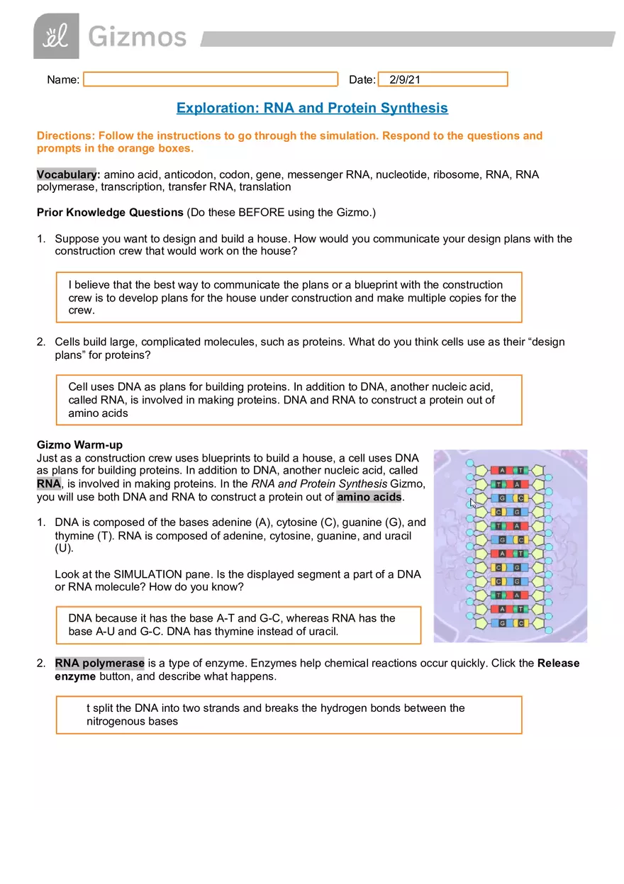 Exploration RNA and Protein Synthesis - Page 1