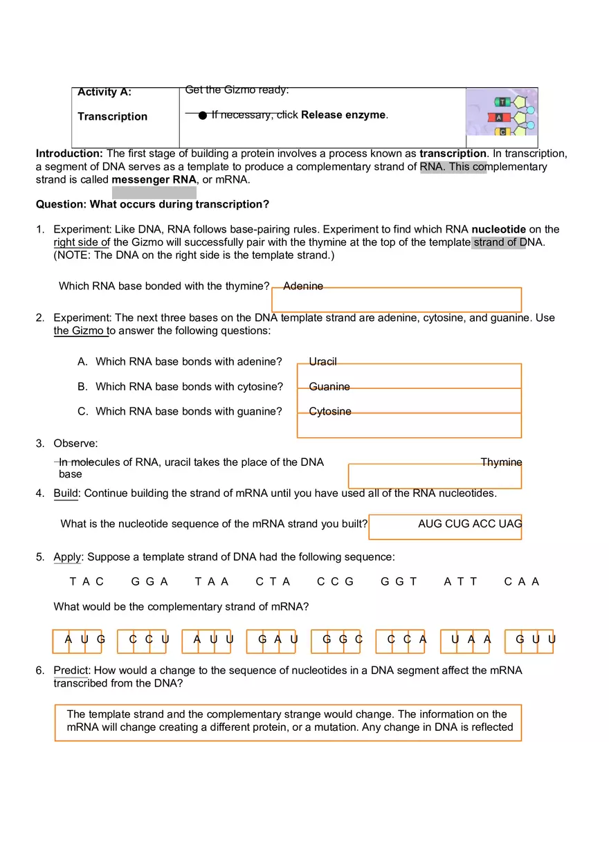 Exploration RNA and Protein Synthesis - Page 2