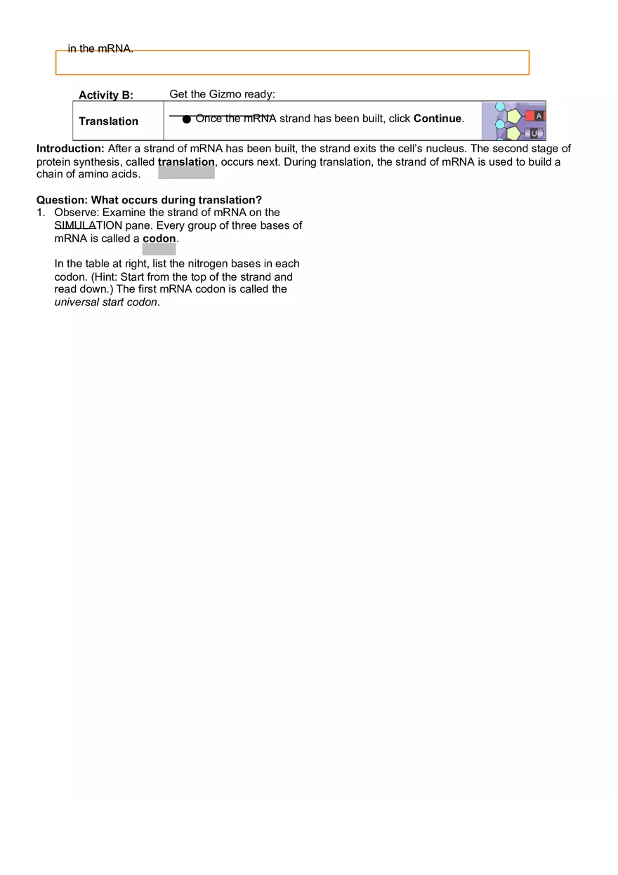 Exploration RNA and Protein Synthesis - Page 3