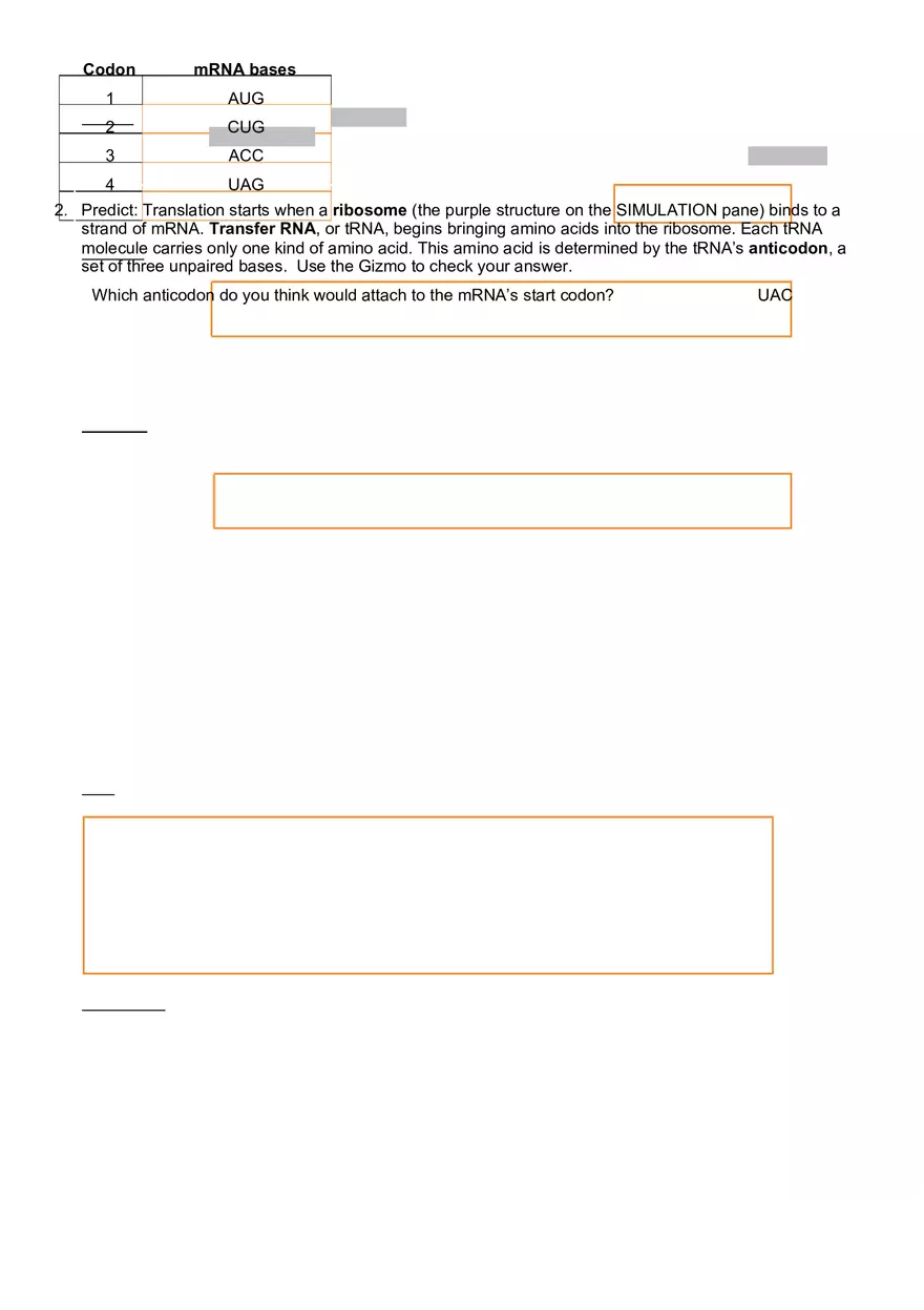 Exploration RNA and Protein Synthesis - Page 4