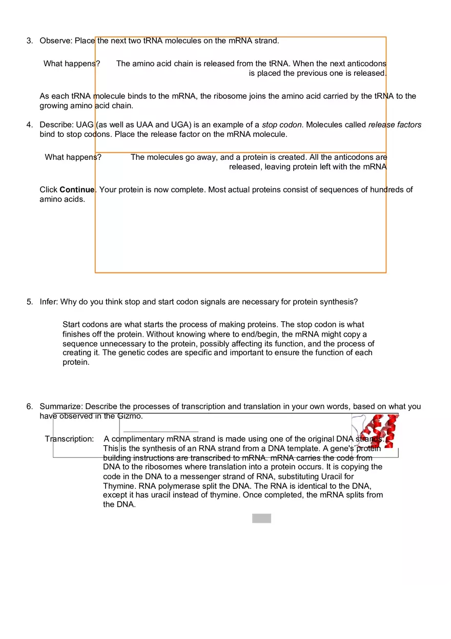 Exploration RNA and Protein Synthesis - Page 5