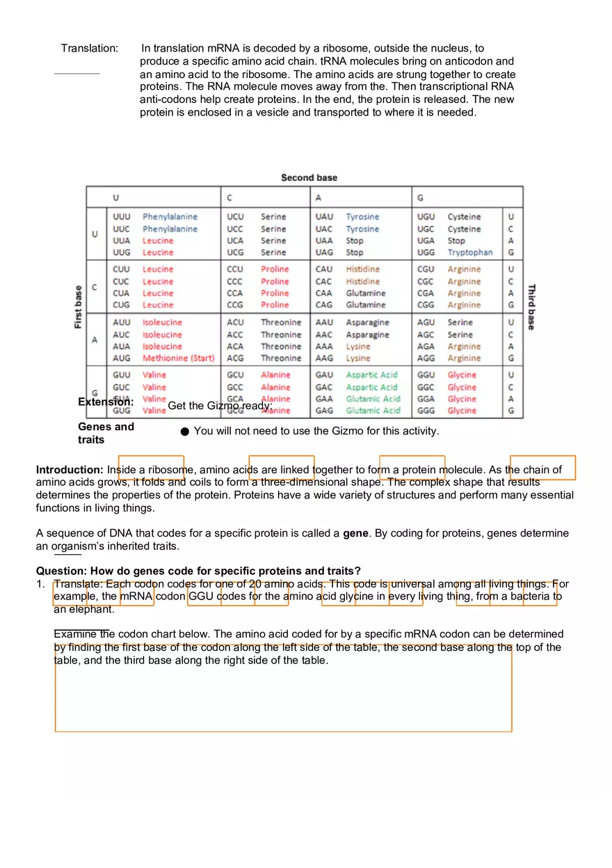 Exploration RNA and Protein Synthesis - Page 6