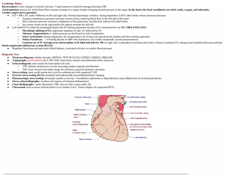 Cardiology Notes - Page 1