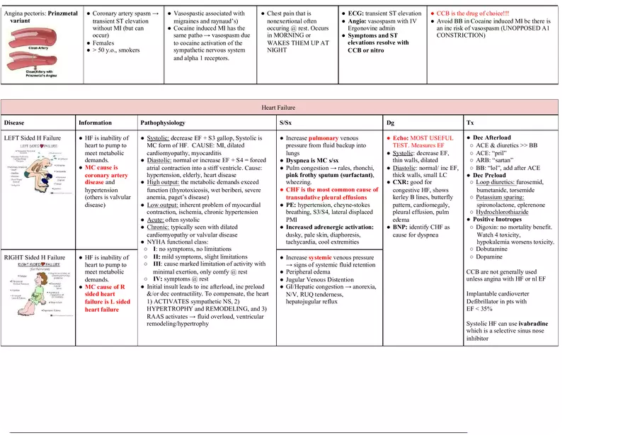 Cardiology Notes - Page 3