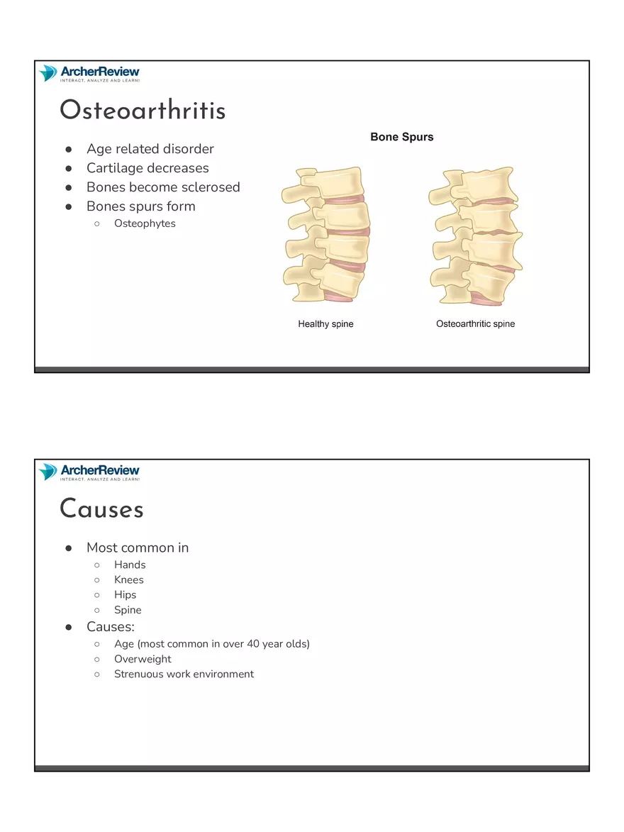 The Musculoskeletal System Notes - Page 12