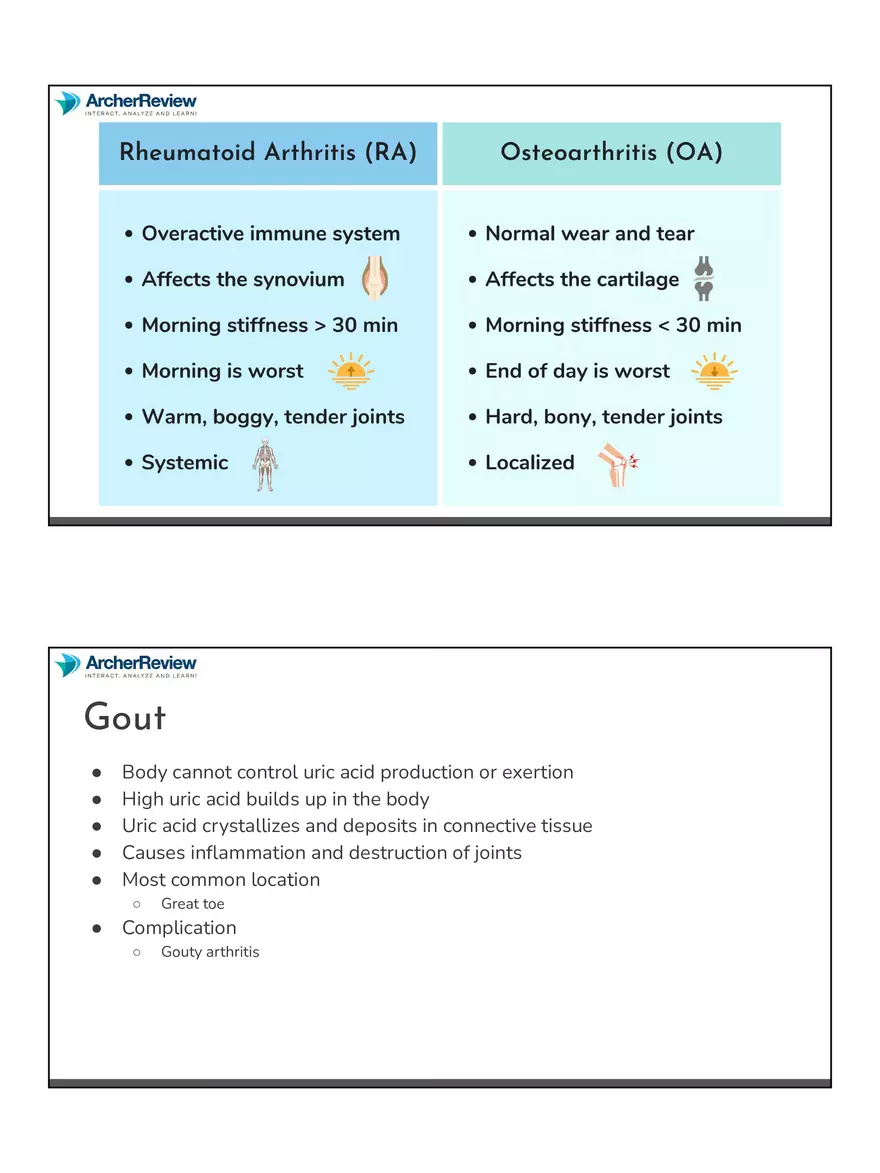 The Musculoskeletal System Notes - Page 15
